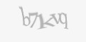 Защитный код
