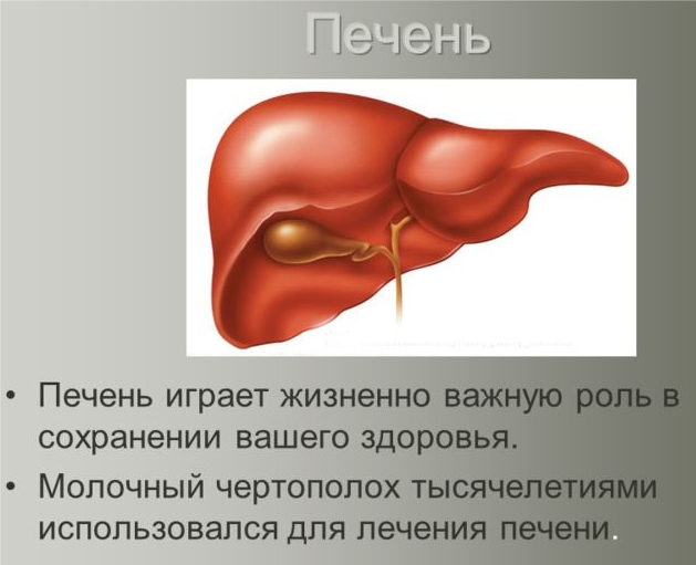 Расторопшо для печени