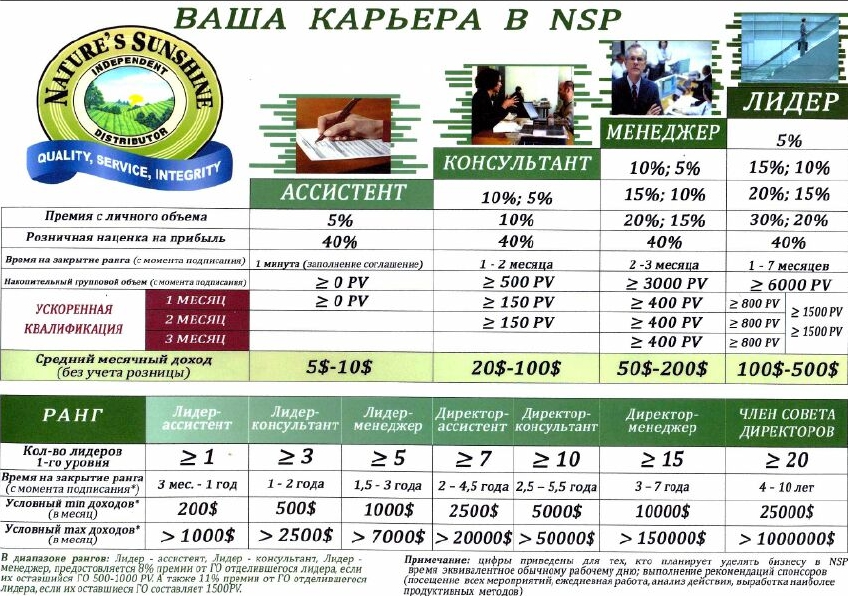Маркетинг план компании NSP